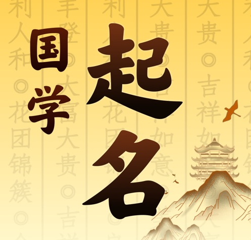 九龙坡国学起名 人工起名一对一
